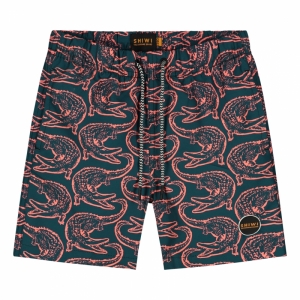 ALLIGATOR SWIMSHORT 208 NEON ORANJE