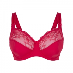 DAILY FULL COVERAGE BH 05 ROOD