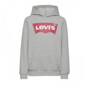 BATWING SCREENPRINT HOODIE C87 GREY HEATHE