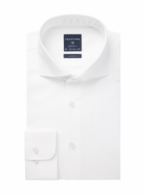 SHIRT CUTAWAY SF WIT