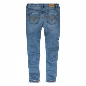 SUPER SKINNY JEAN L3D PALISADES