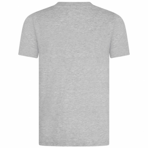 CLASSIC T-SHIRT G59 vintage gre