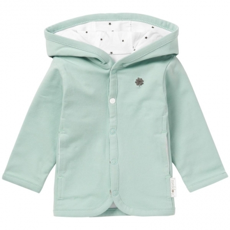 C175 Grey Mint