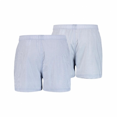 LEVIS MEN WOVEN BOXER 2P 003 light blue