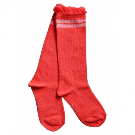 PUPPY-SG-81-E CO CORAL