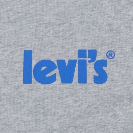 LVB LOGO PULLOVER HOODIE G2H grey heather