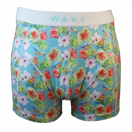 HIBISCUS PRINT