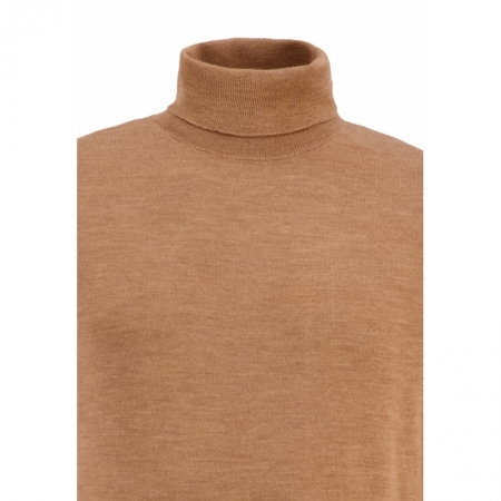  843 Camel