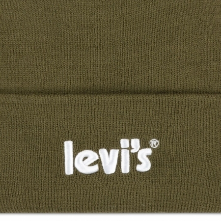 POSTER LOGO BEANIE E1F