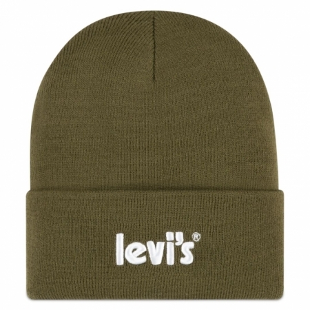 POSTER LOGO BEANIE E1F