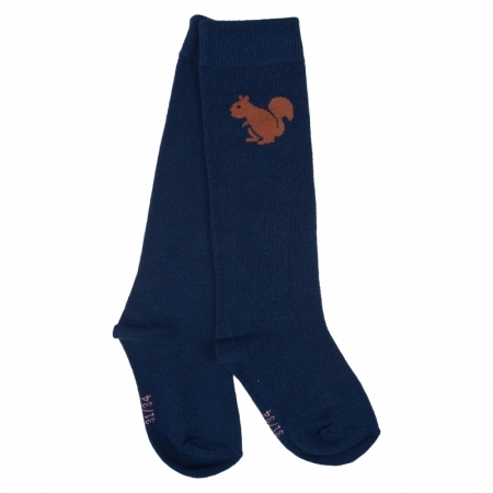  N NAVY