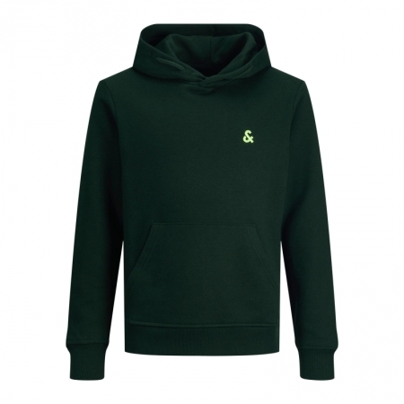 JJESTAR ROOF SWEAT HOOD NOOS J 176272 Pine Gro