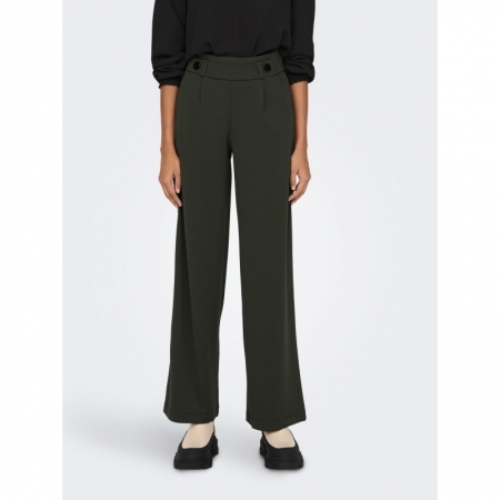 JDYGEGGO NEW LONG PANT JRS NOO 186898001 Peat/
