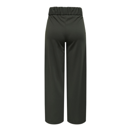 JDYGEGGO NEW LONG PANT JRS NOO 186898001 Peat/