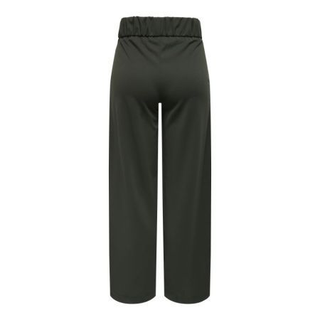 JDYGEGGO NEW LONG PANT JRS NOO 186898001 Peat/