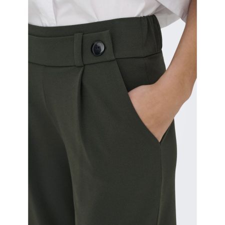JDYGEGGO NEW LONG PANT JRS NOO 186898001 Peat/