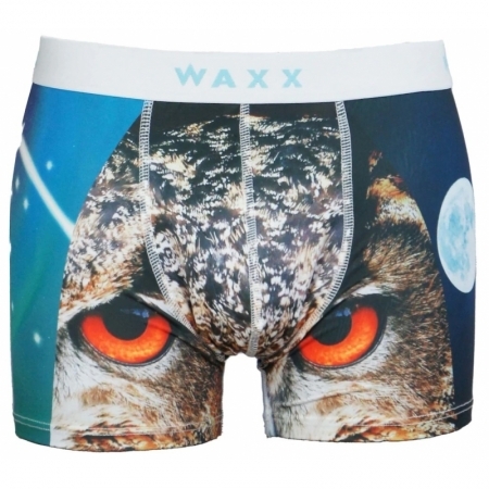OWL MULTICOLOUR