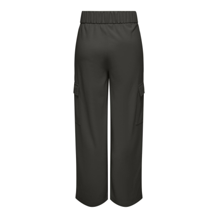 JDYGEGGO LIFE POCKET PANT JRS 186898 Peat
