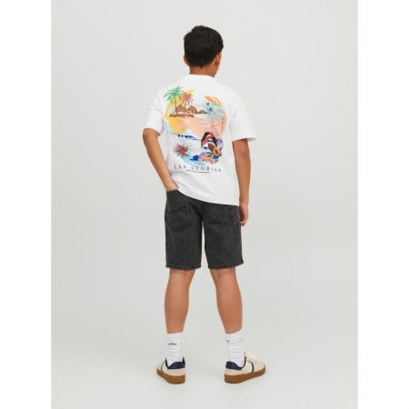 JJICHRIS JJORIGINAL SHORTS MF 188778 Grey Den