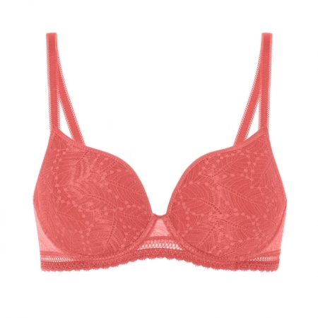 COMETE 457 ROSE TEXAS