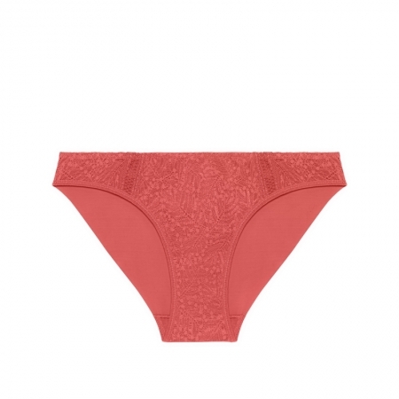 COMETE 457 ROSE TEXAS
