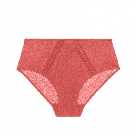 COMETE 457 ROSE TEXAS