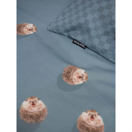 HEDGY BLUE HEDGY BLUE