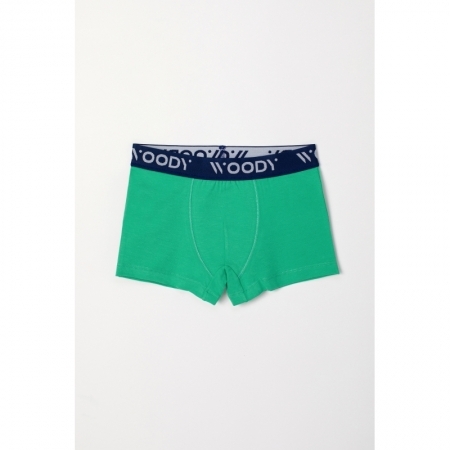 Z 064 groen-blauw
