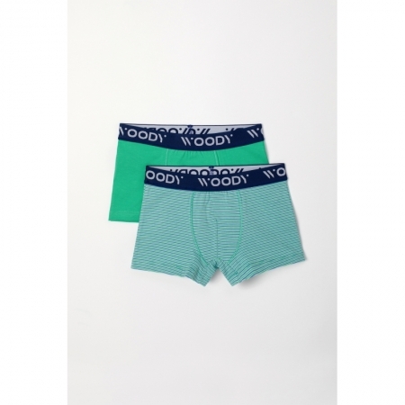 Z 064 groen-blauw