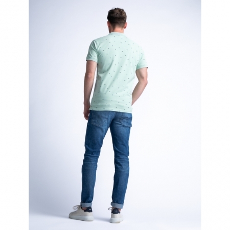 6159 Pistache