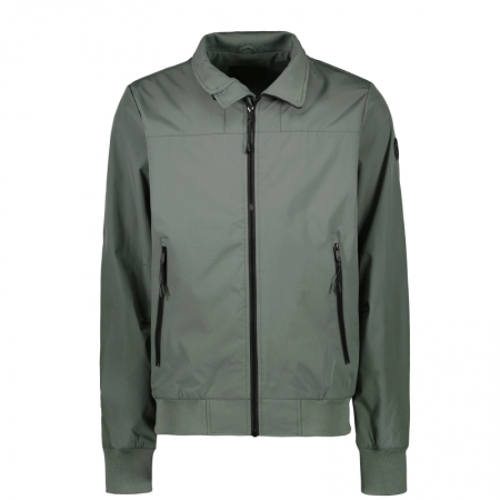  18 Olive