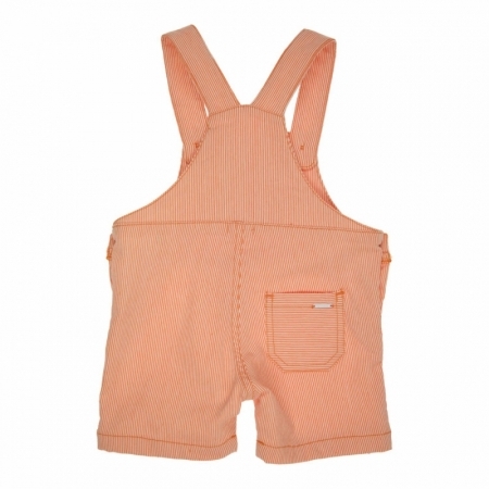 OR Orange