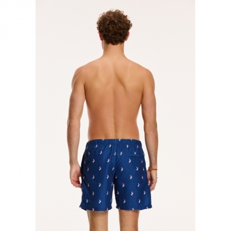 SWIM SHORTS PELICAN 650 ROYAL BLUE