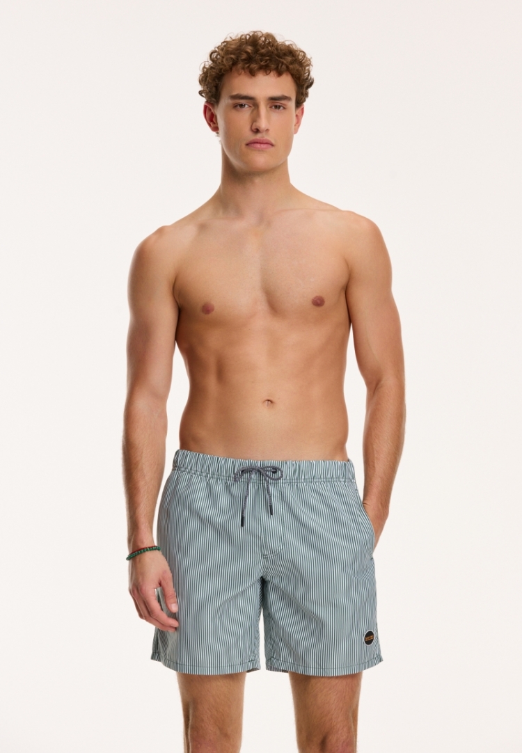 SWIM SHORTS SKINNY STRIPE 764 CILANTRO GREEN