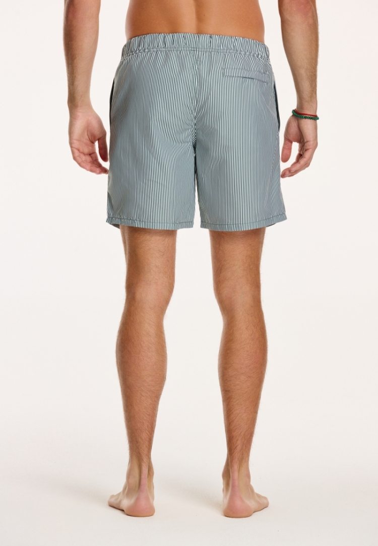 SWIM SHORTS SKINNY STRIPE 764 CILANTRO GREEN