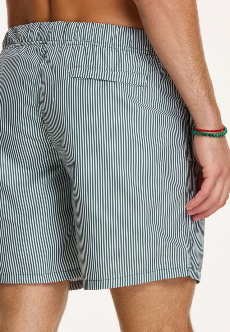 SWIM SHORTS SKINNY STRIPE 764 CILANTRO GREEN