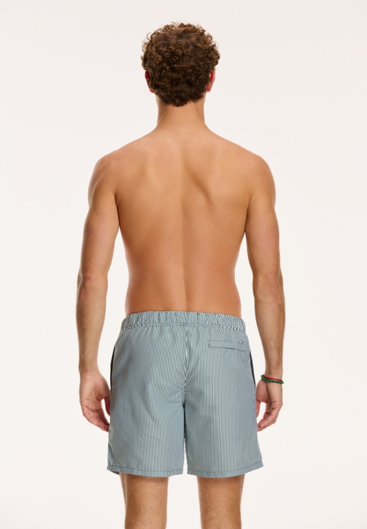 SWIM SHORTS SKINNY STRIPE 764 CILANTRO GREEN