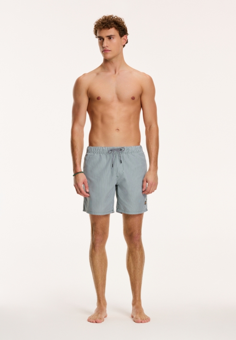 SWIM SHORTS SKINNY STRIPE 764 CILANTRO GREEN