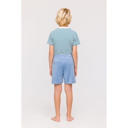 T 818 blauw