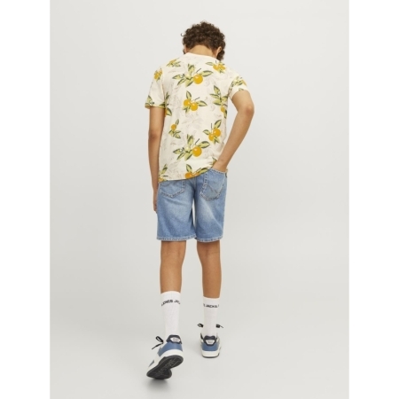 JJICHRIS JJORIGINAL SHORTS MF 188779 Blue Den