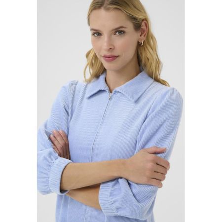 163922 Brunnera