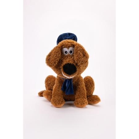 V 010 labradoodle