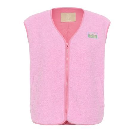 152215 Begonia Pink