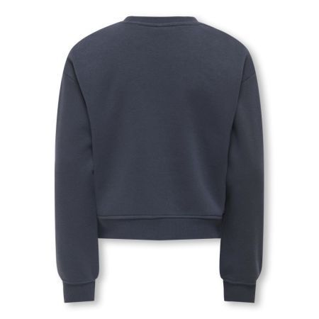 KOGSWEAT LIFE LS CREW OVZ STAT 189778001 Ombre