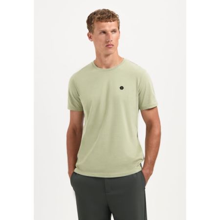  197 Light Moss