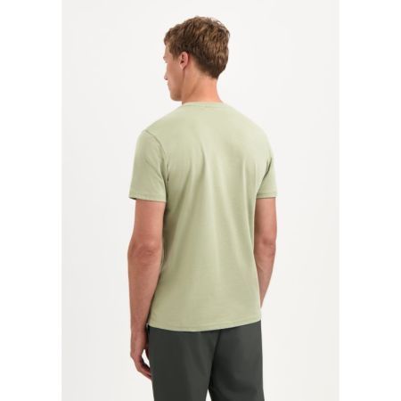  197 Light Moss