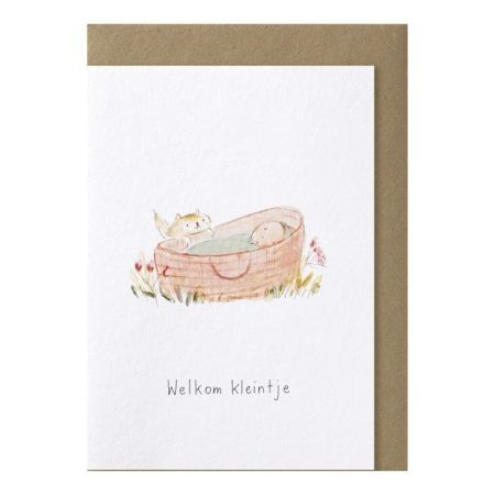 Welkom kleintje - baby in mand -