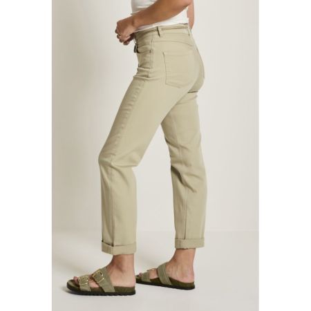  637 Light Olive
