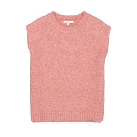  4508-coral dust