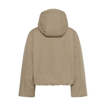171311 Desert T